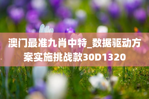 澳门最准九肖中特_数据驱动方案实施挑战款30D1320