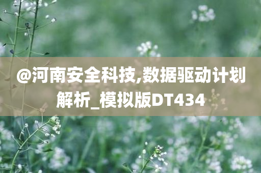 @河南安全科技,数据驱动计划解析_模拟版DT434