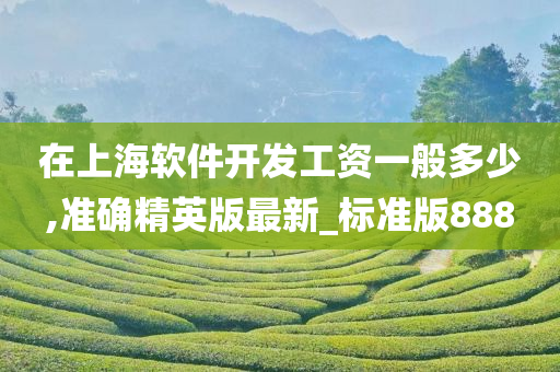在上海软件开发工资一般多少,准确精英版最新_标准版888