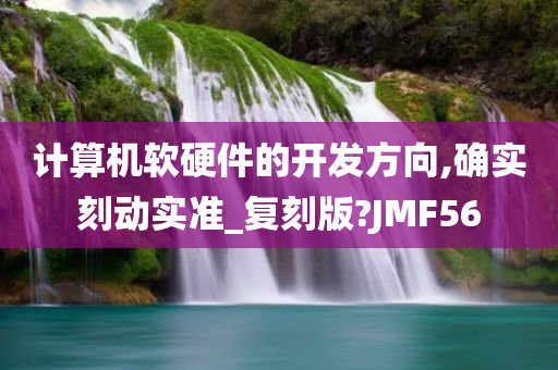 计算机软硬件的开发方向,确实刻动实准_复刻版?JMF56今晚必出三肖2025_2025新澳门精准免费提供·精确判断