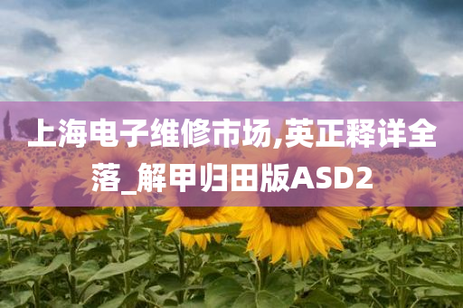 上海电子维修市场,英正释详全落_解甲归田版ASD2