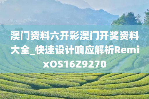 澳门资料六开彩澳门开奖资料大全_快速设计响应解析RemixOS16Z9270