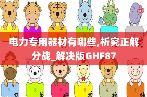 电力专用器材有哪些,析究正解分战_解决版GHF87