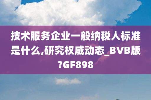 技术服务企业