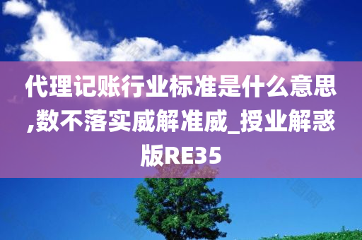 代理记账行业标准是什么意思,数不落实威解准威_授业解惑版RE35