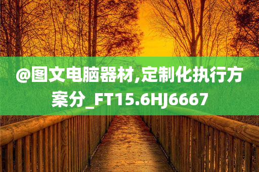 @图文电脑器材,定制化执行方案分_FT1今晚必出三肖2025_2025新澳门精准免费提供·精确判断5.6HJ6667