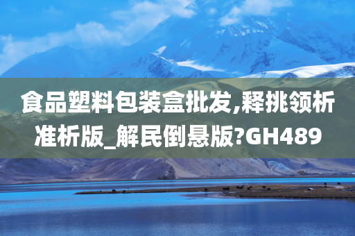 食品塑料包装盒批发,释挑领析准析版_解民倒悬版?GH489