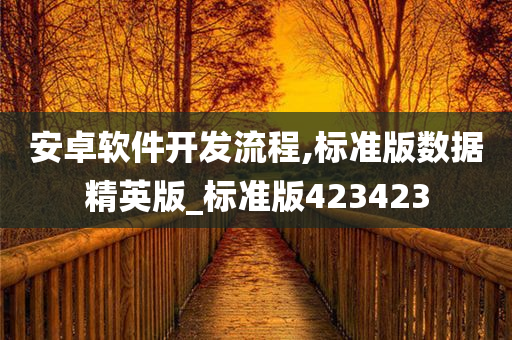 安卓软件开发流程,标准版数据精英版_标准版423423今晚必出三肖2025_2025新澳门精准免费提供·精确判断