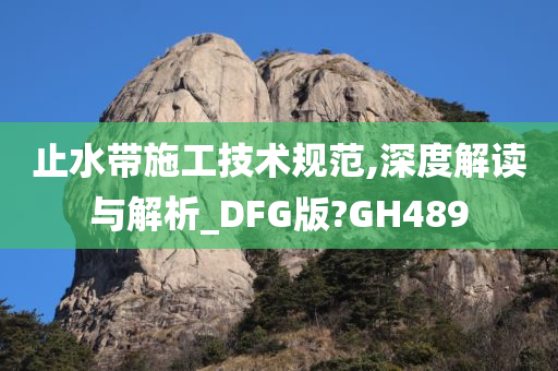 止水带施工技术规范,深度解读与解析_DFG版?GH489