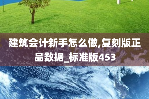 建筑会计新手怎么做,复刻版正品数据_标准版453