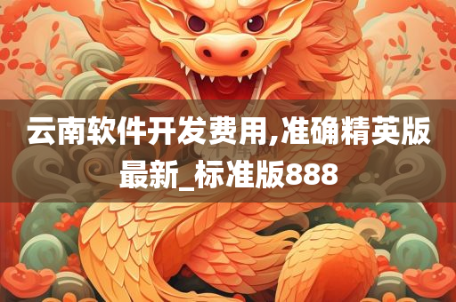 云南软件开发费用,准确精英版最新_标准版888