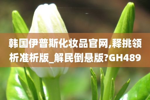 韩国伊普斯化妆品官网,释挑领析准析版_解民倒悬版?GH489