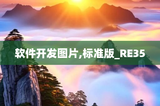 软件开发图片,标准版_RE35
