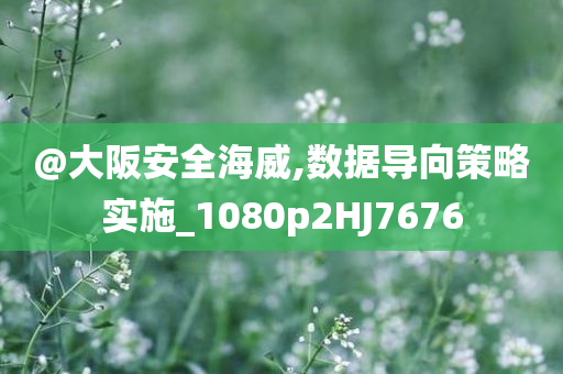 @大阪安全海威,数据导向策略实施_1080p2HJ7676