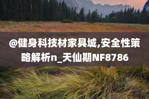@健身科技材家具城,安全性策略解析n_天仙期NF8786
