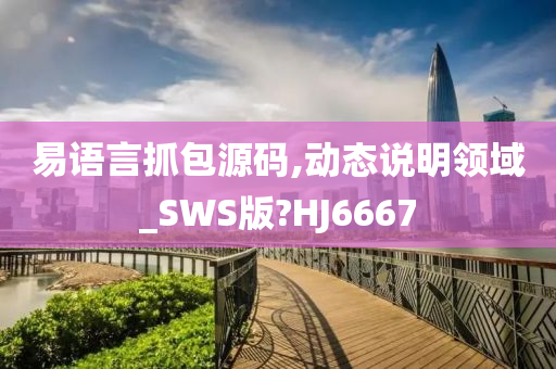易语言抓包源码,动态说明领域_SWS版?HJ6667