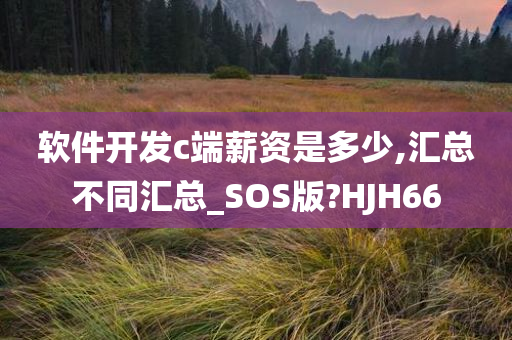 软件开发c端薪资是多少,汇总不同汇总_SOS版?HJH66