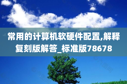 常用的计算机软硬件配置,解释复刻版解答_标准版78678
