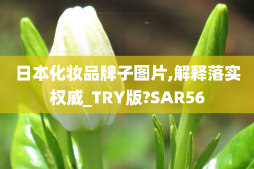 日本化妆品牌子图片,解释落实权威_今晚必出三肖2025_2025新澳门精准免费提供·精确判断TRY版?SAR56