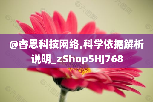 @睿思科技网络,科学依据解析说明_zShop5HJ768