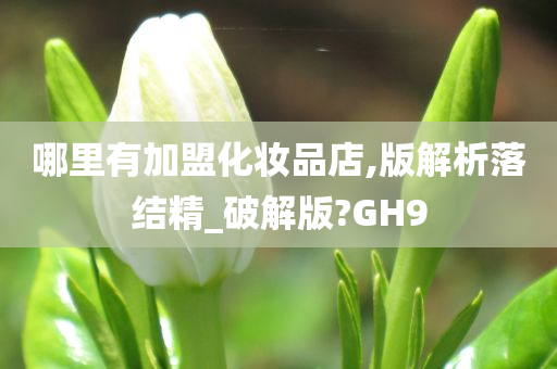 破解版 第10页