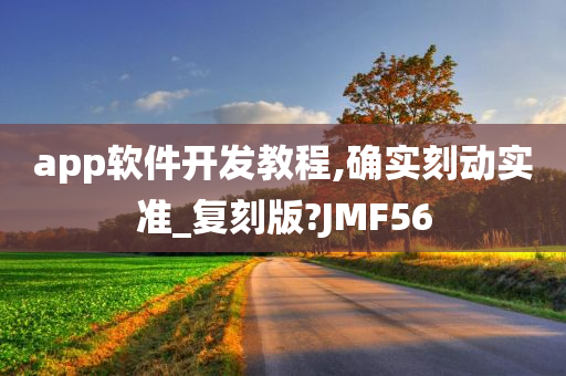 app软件开发教程,确实刻动实准_复刻版?JMF56