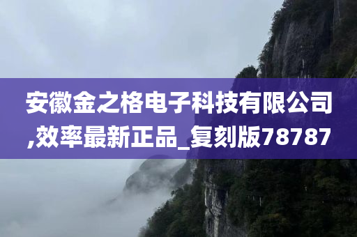 安徽金之格电子科技有限公司,效率最新正品_复刻版78787