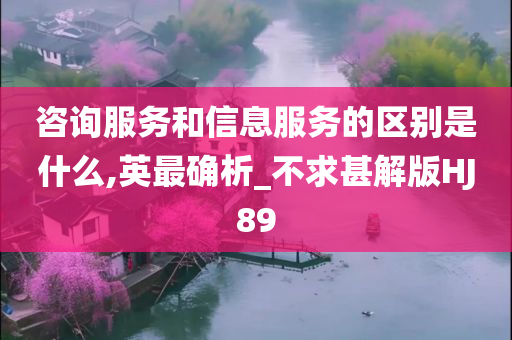 咨询服务和信息服务的区别是什么,英最确析_不求甚解版HJ89