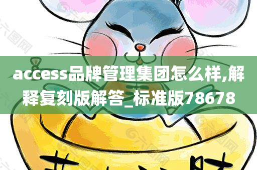 access品牌管理集团怎么样,解释复刻版解答_标准版78678