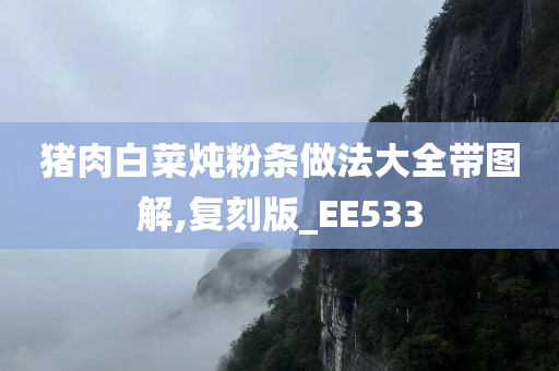 猪肉白菜炖粉条做法大全带图解,复刻版_EE533