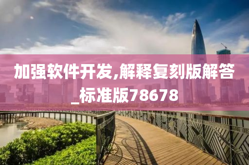 加强软件开发,解释复刻版解答_标准版78678