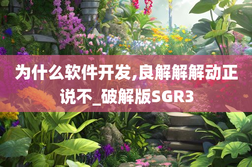 为什么软件开发,良解解解动正说不_破解版SGR3
