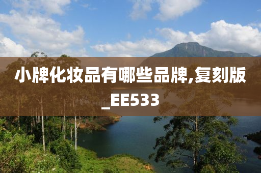 小牌化妆品有哪些品牌,复刻版_EE533