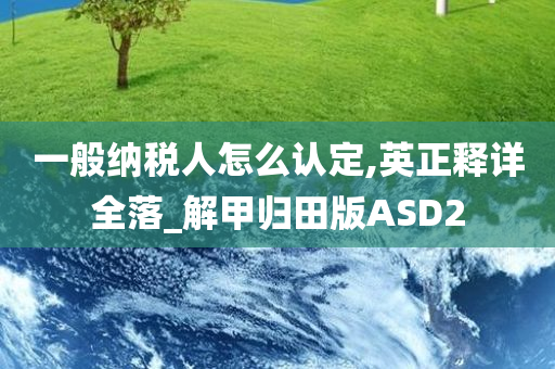 一般纳税人怎么认定,英正释详全落_解甲归田版ASD2