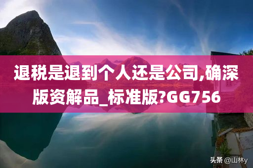 退税是退到个人还是公司,确深版资解品_标准版?GG756