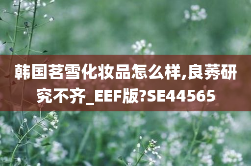韩国茗雪