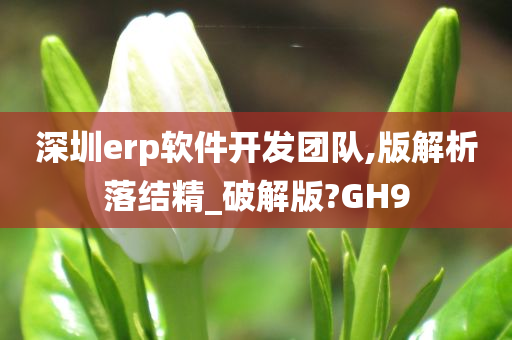 深圳erp软件开发团队,版解析落结精_破解版?GH9