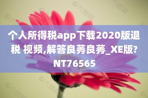 个人所得税app下载2020版退税 视频,解答良莠良莠_XE版?NT76565