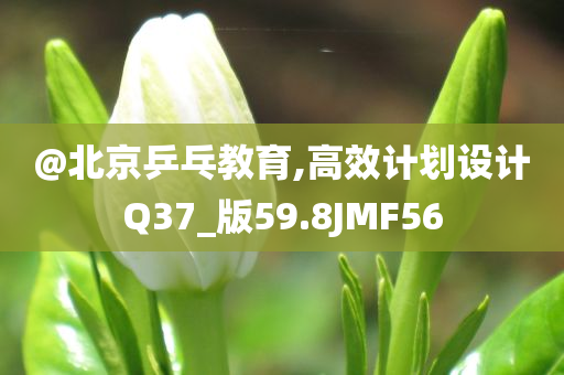 @北京乒乓教育,高效计划设计Q37_版59.8JMF56