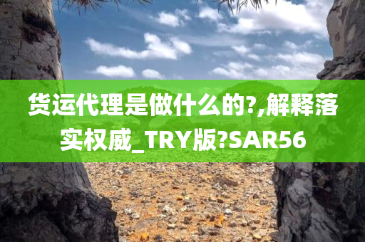 货运代理是做什么的?,解释落实权威_TRY版?SAR56