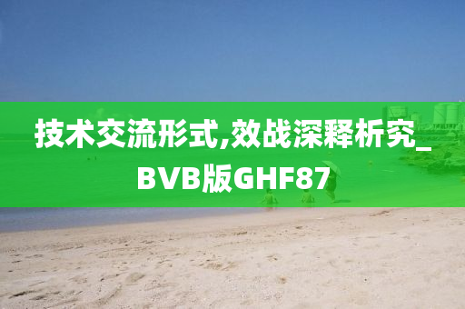 技术交流形式,效战深释析究_BVB版GHF87