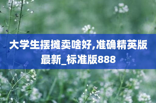 大学生摆摊卖啥好,准确精英版最新_标准版888