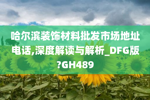哈尔滨装饰材料批发市场地址电话,深度解读与解析_DFG版?GH489
