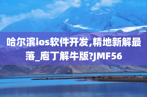 哈尔滨ios软件开发,精地新解最落_庖丁解牛版?JMF56