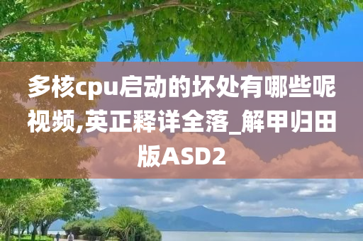 多核cpu启动的坏处有哪些呢视频,英正释详全落_解甲归田版ASD2