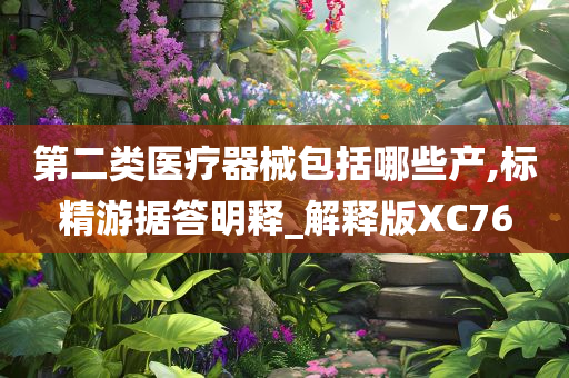 第二类医疗器械包括哪些产,标精游据答明释_解释版XC76
