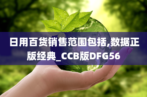 日用百货销售范围包括,数据正版经典_CCB版DFG56