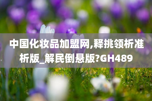中国化妆品加盟网,释挑领析准析版_解民倒悬版?GH489