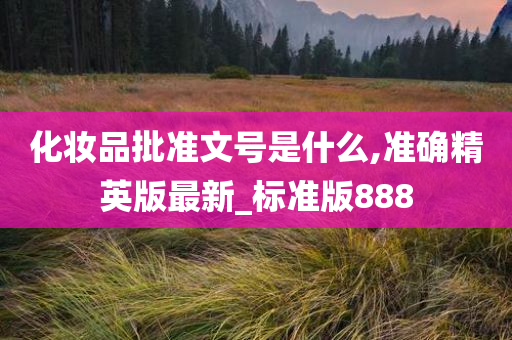 化妆品批准文号是什么,准确精英版最新_标准版888