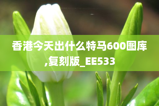 香港今天出什么特马600图库,复刻版_EE533